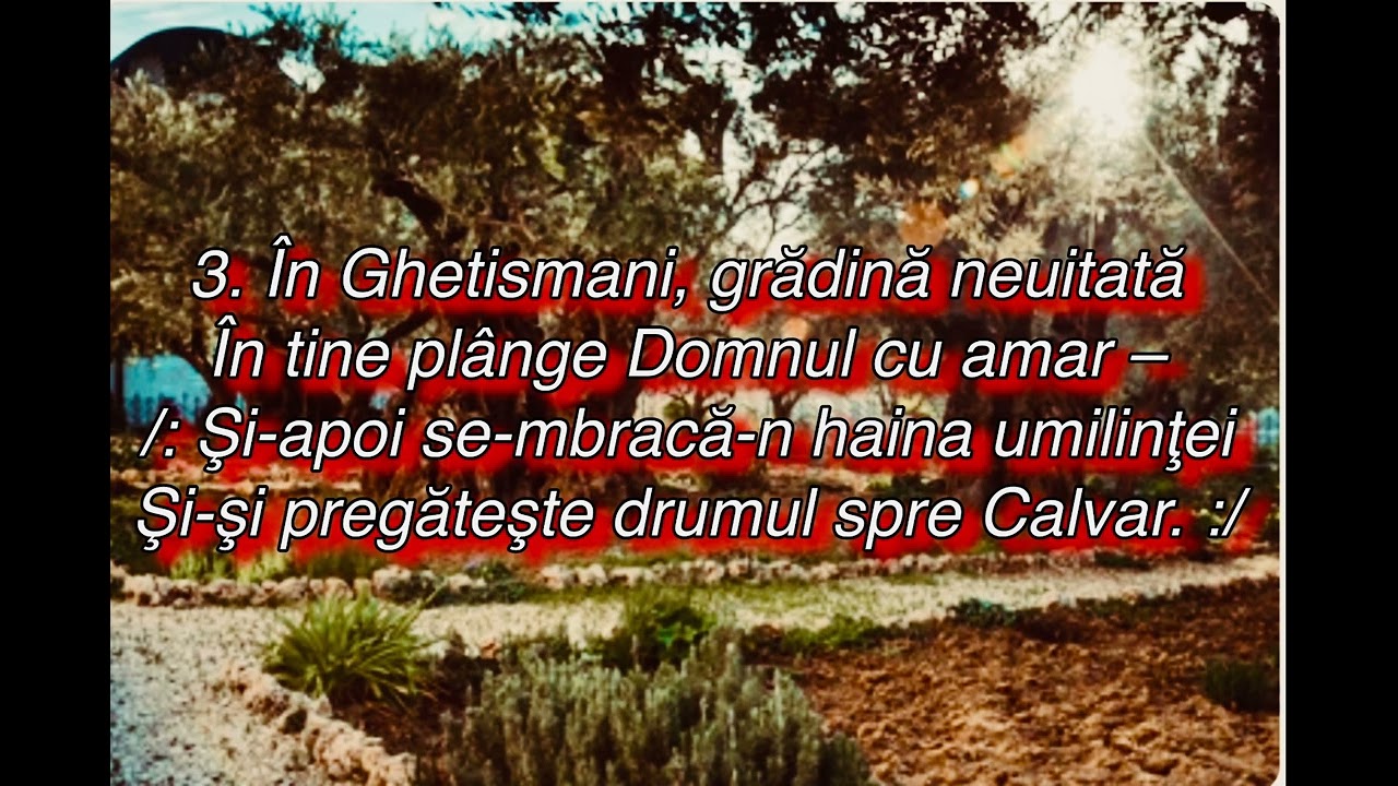 Negativ original- era o data o tainica gradina