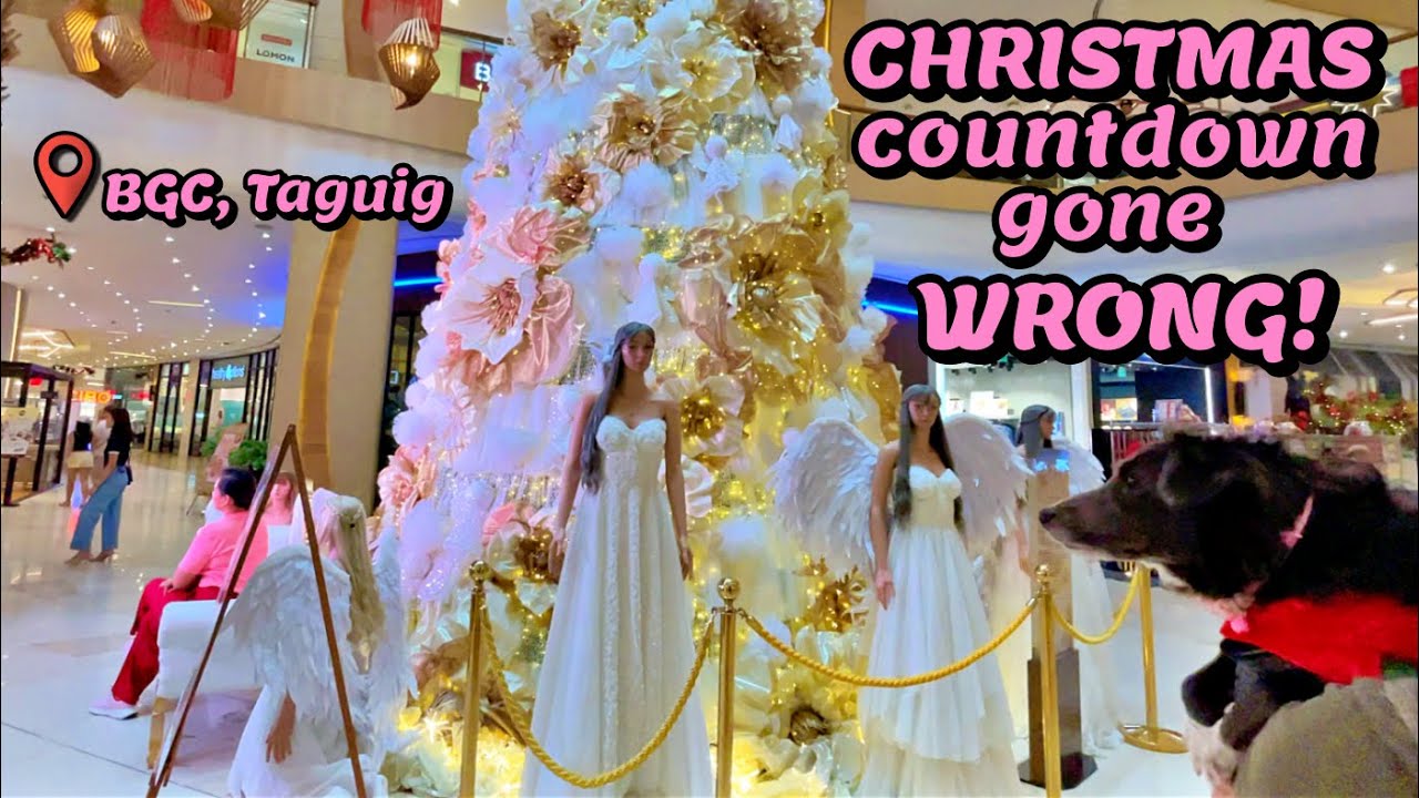 Dog's Christmas Countdown 🎄 Uptown Mall📍BGC, Taguig 🇵🇭 Dog Spooked by a Flapping Christmas Angel 👼🏽😱