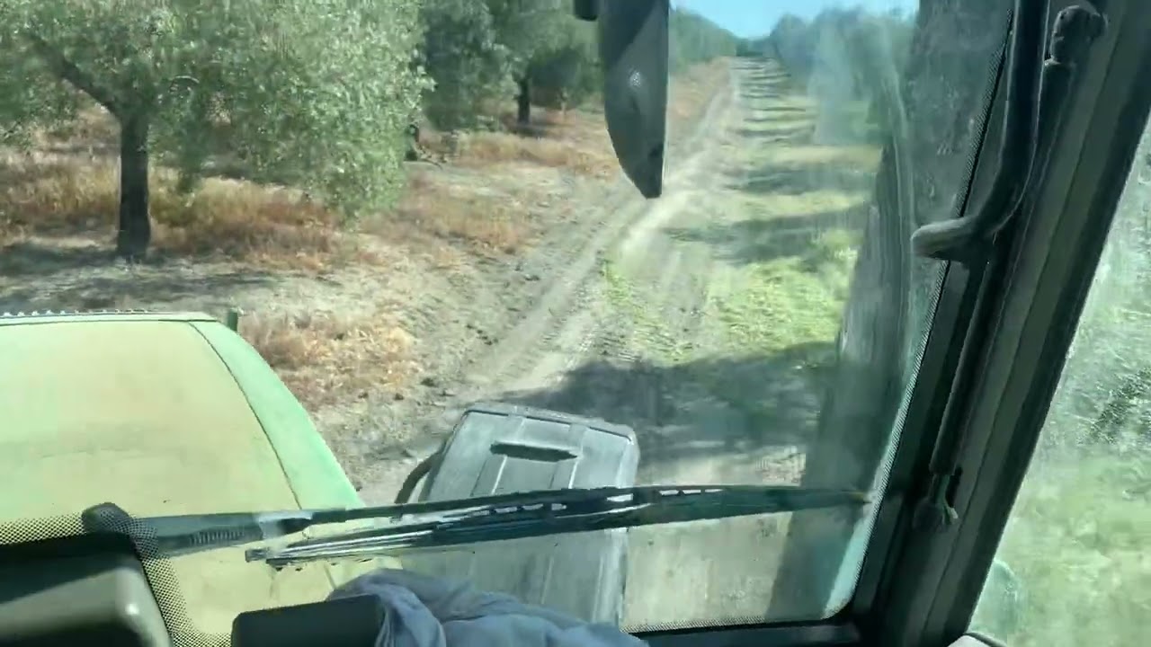 Olivar de Plata. Siega mecánica de cubierta vegetal