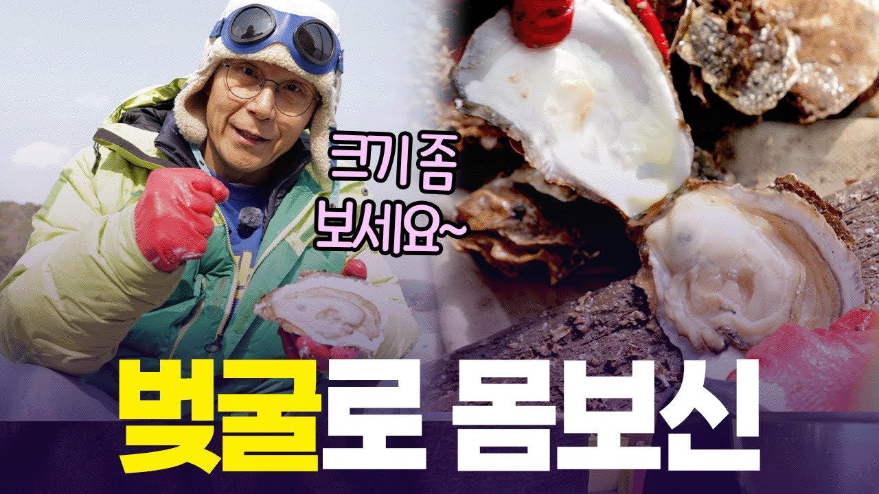 광양에서 걷다말고 굴 삼매경에 빠진 만복이🦪싱싱한 지리산 벚굴 먹으러 오세요~ [6시 내고향] | KBS 260204 방송