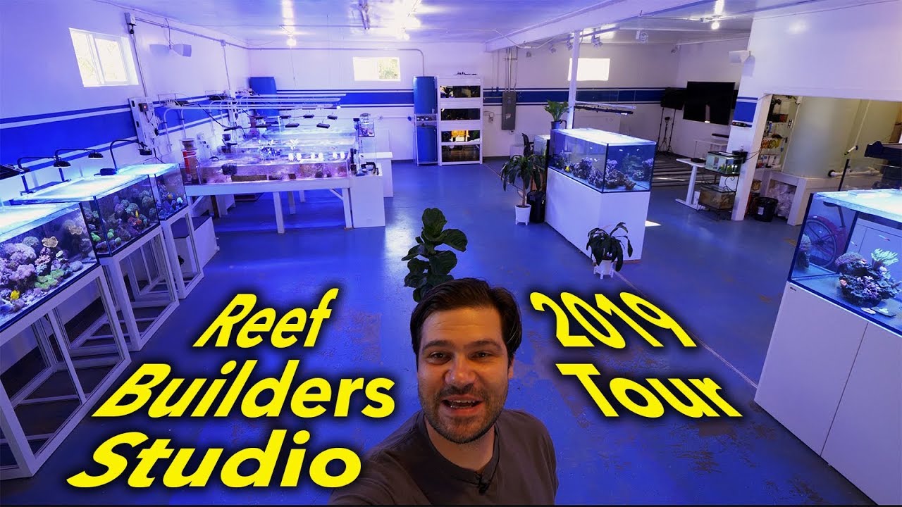 Vlog 43: The Complete 2019 Reef Builders Studio Tour