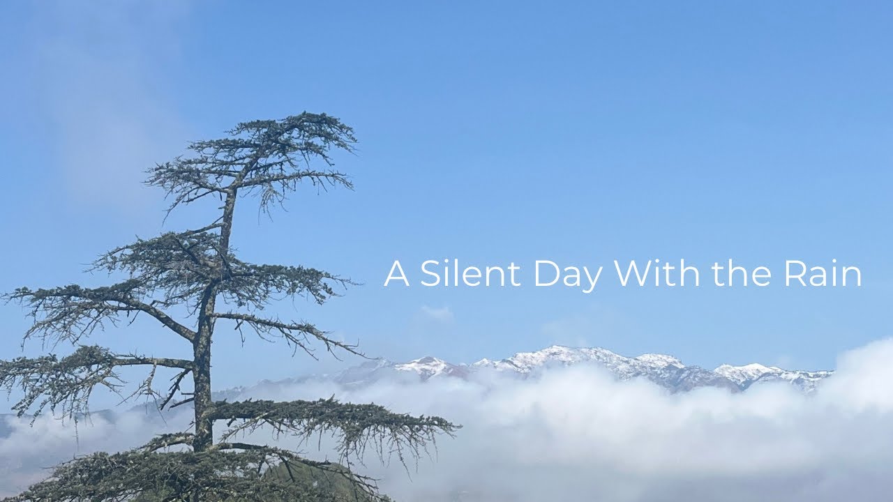 Silent vlog| Winter Rain| BundtCake #slowliving #silentvlog 