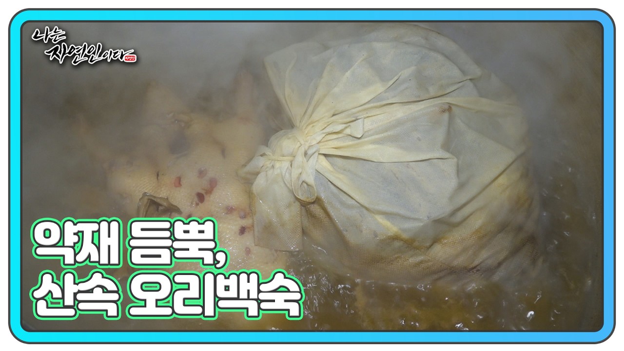 산속에서 끓인 자연인표 건강 오리백숙 MBN 260309 방송