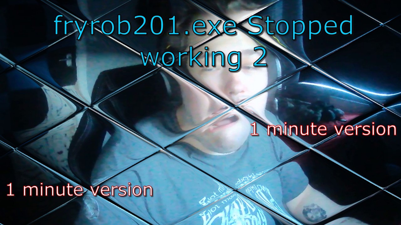 fryrob201.exe Stopped working 2 (1 minute version)
