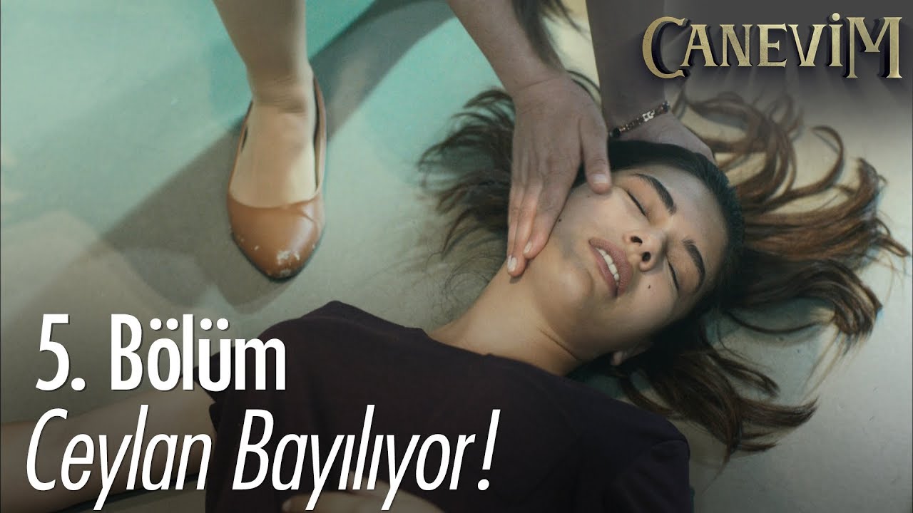 Ceylan bayılıyor! - Canevim 5. Bölüm
