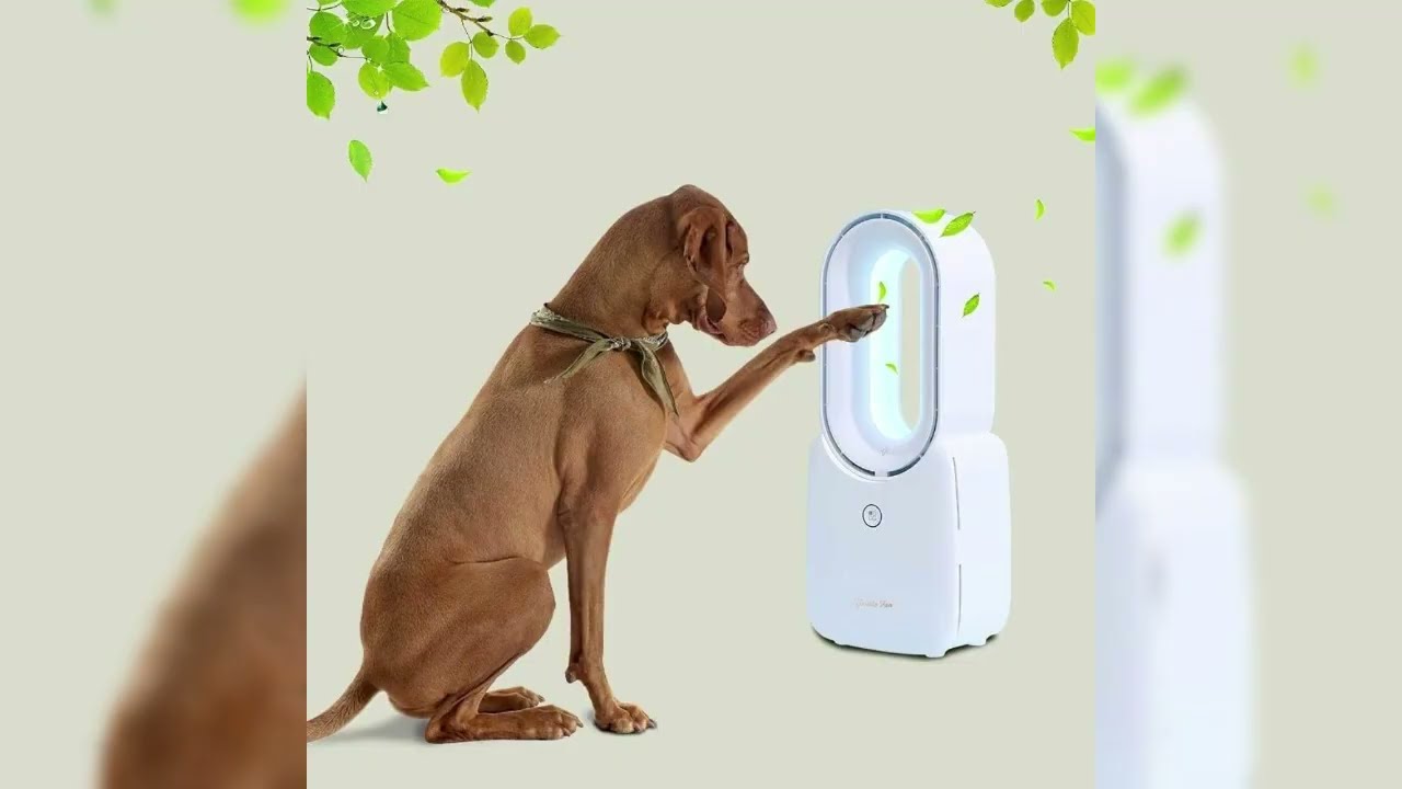 let'me Desk Fan,Portable Bladeless Fan 11.8 inch Small Personal Cooling Fan