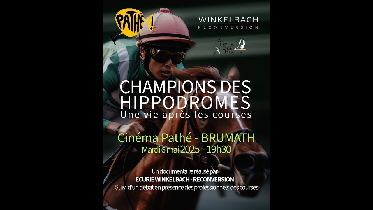 Champions des hippodromes, Une vie après les courses