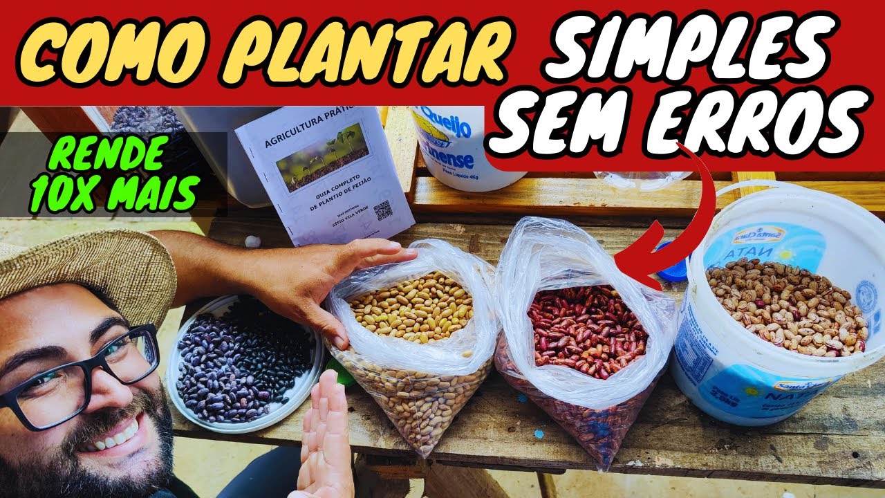 👉✅DICA DE OURO de COMO PLANTAR FEIJÃO *Novidade