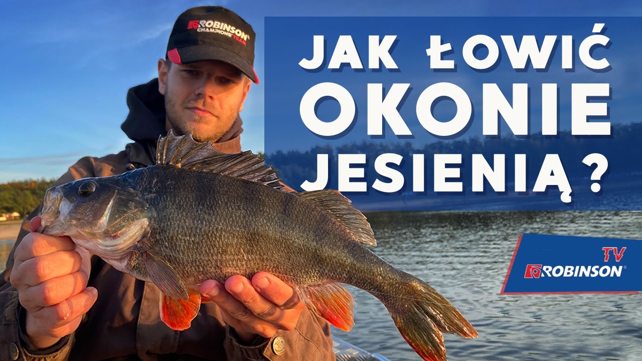 Jak łowić okonie jesienią? ROBINSONVLOG#14