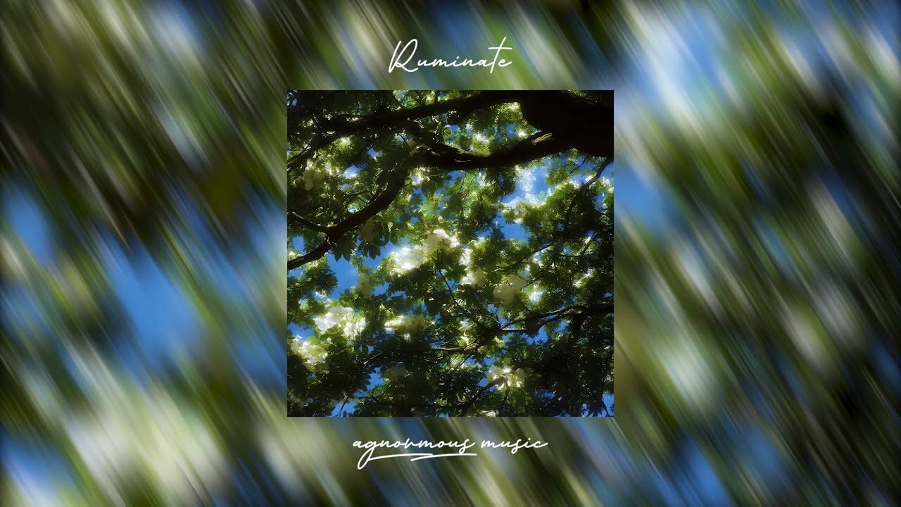 AGNORMOUS - Ruminate (Official Audio)
