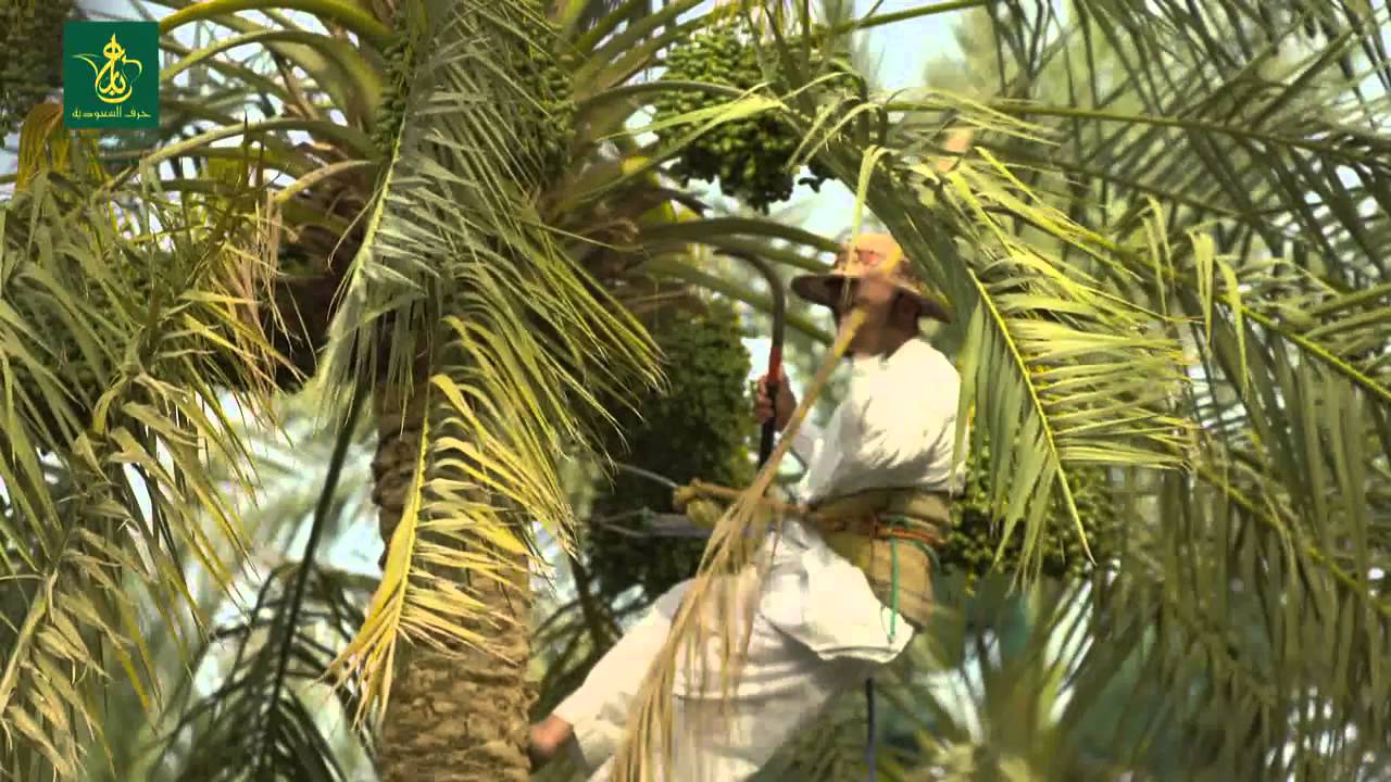 حرف وصناعات يدوية - منطقة الأحساء, السعودية/ Saudi Handicrafts – Al-Ahsa