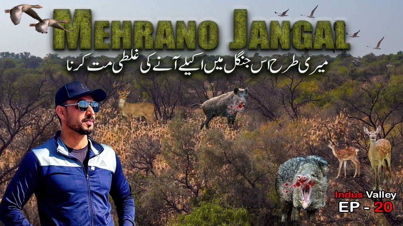 Wildlife Adventure of  Mehrano Jungle | KotDiji Fort| Khairpur | Sindh Bike Tour EP - 20