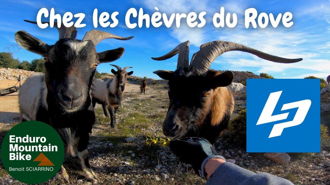 En Lapierre GLP2 2021 chez les Chèvres du Rove | VTTAE | Châteauneuf les Martigues