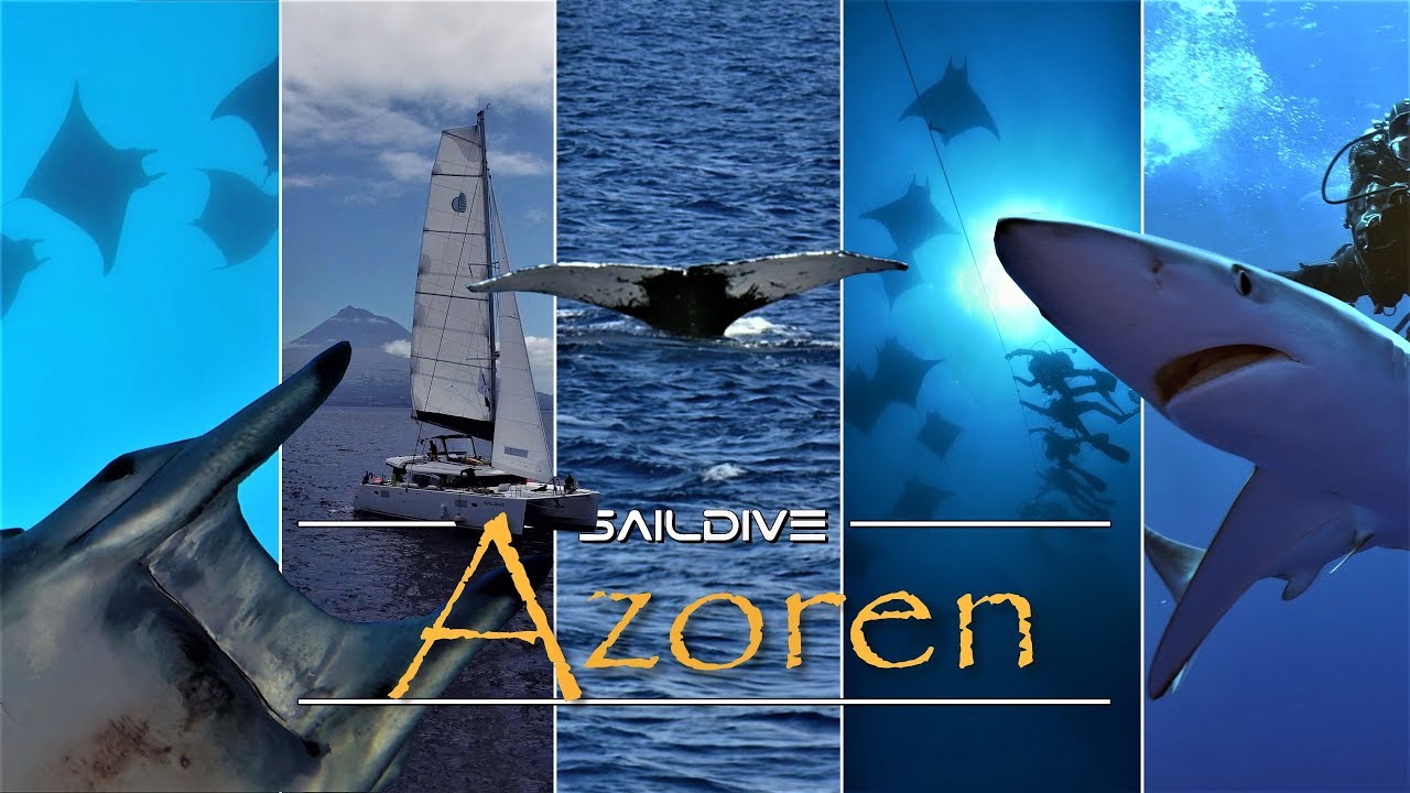 Azoren - Sailing and diving in the Azores - Liveaboard Azores | Segeln und Tauchen Azoren 4K Doku