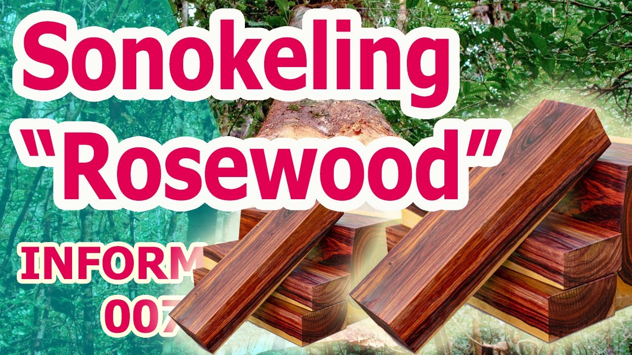 Kayu Sonokeling Super Termahal, sonokeling untuk apa ? simak penjelasan lengkap dalam video ini !!!
