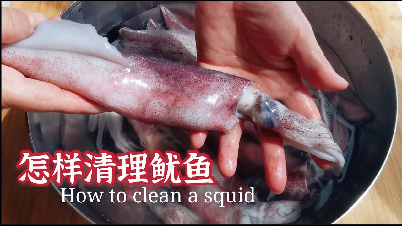 如何清理墨鱼/鱿鱼，厨技必备 How to clean a squid