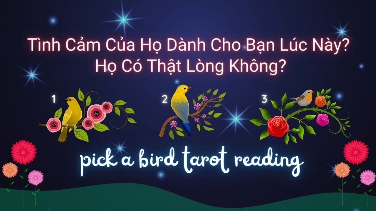 Tình Cảm Của Họ Dành Cho Bạn Lúc Này? Họ Có Thật Lòng Không?🙄❤️    Chọn 1Tụ Bài #traibaitarot