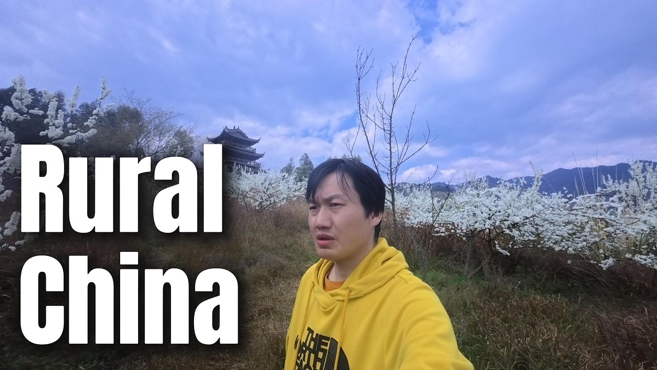 China’s Rural Revolution: How Villages Are Attracting Young Travelers| daily life in China|vlog