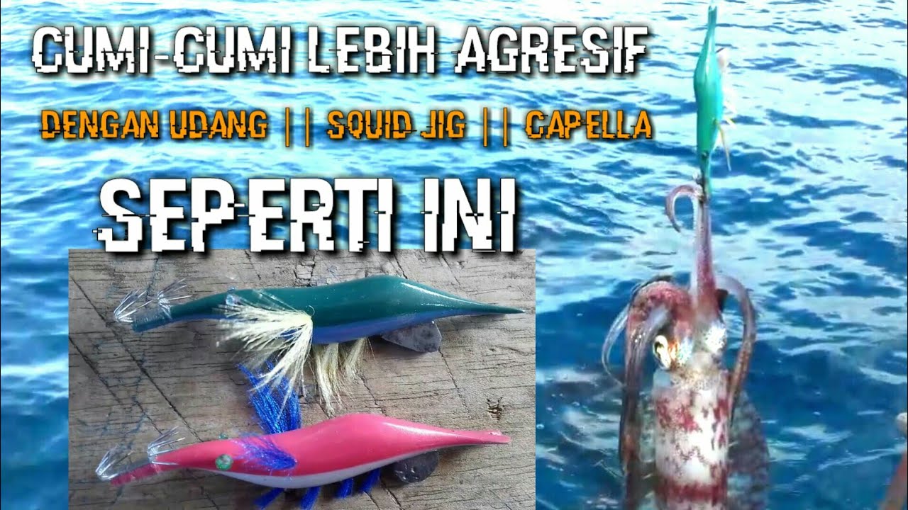 Mancing Cumi Di Pulau Ogotion-Angler Cumi