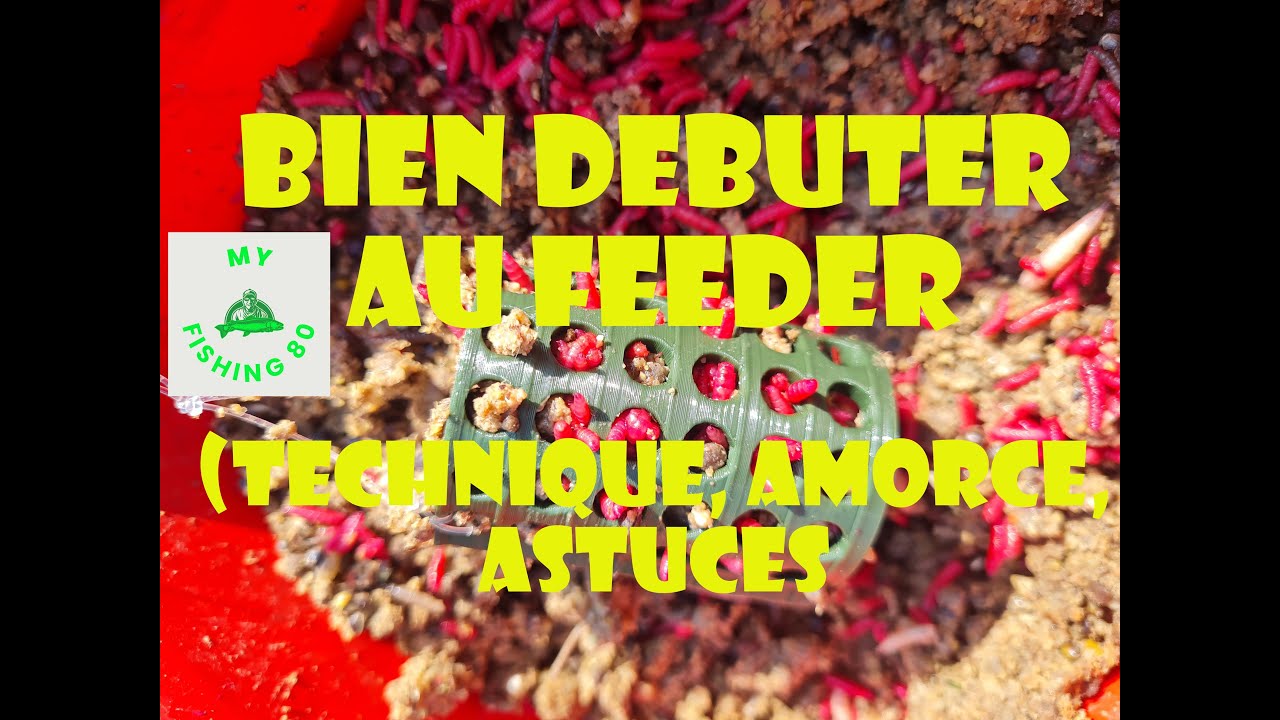 Débuter la pêche au feeder, à la recherche des poissons blancs de toutes tailles!!