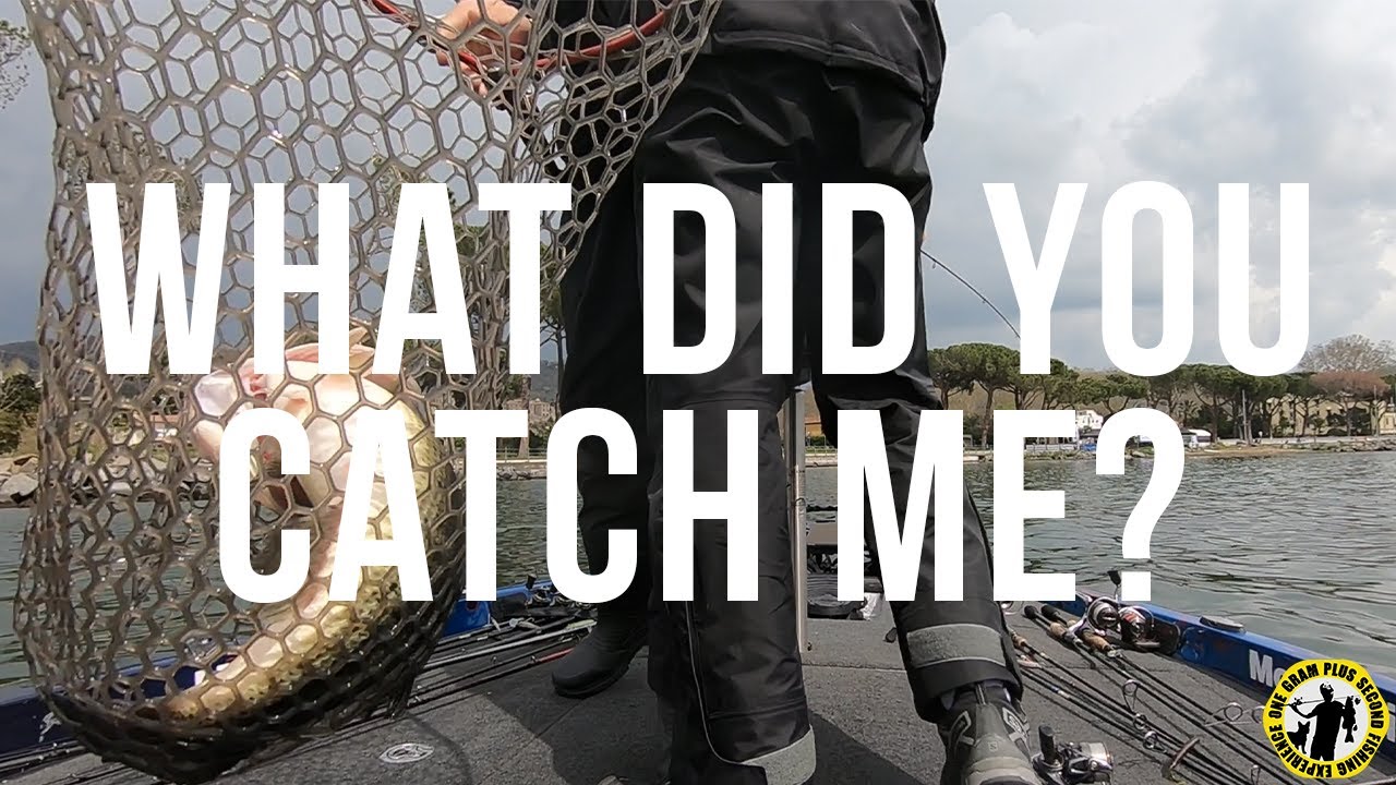 What Did You Catch Me?!
