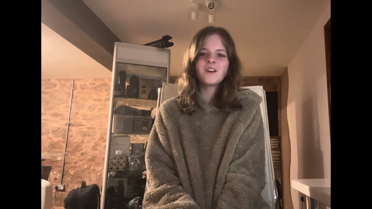 Janie - ethel cain cover