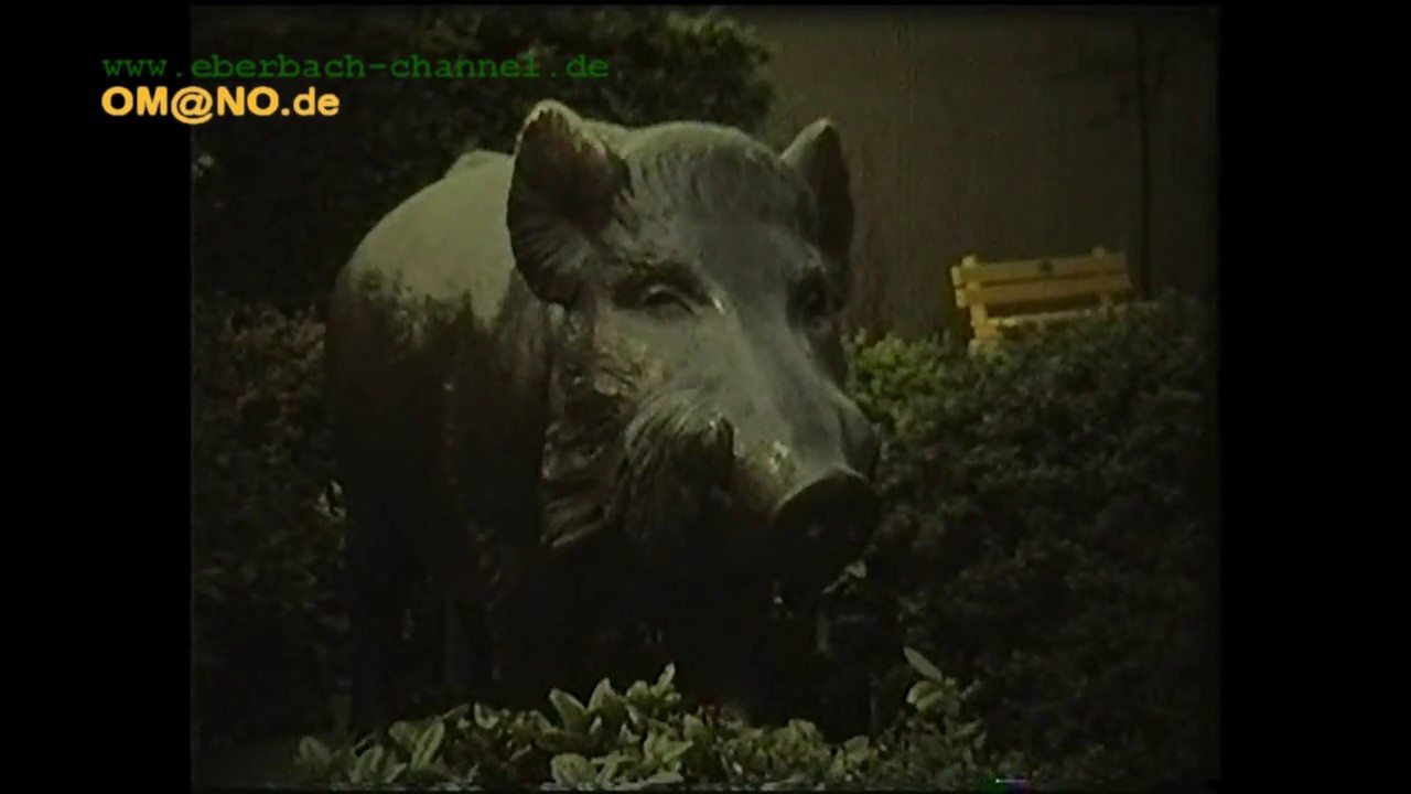 750 Jahre Eberbach (Film von Theo Kinzler) 1977