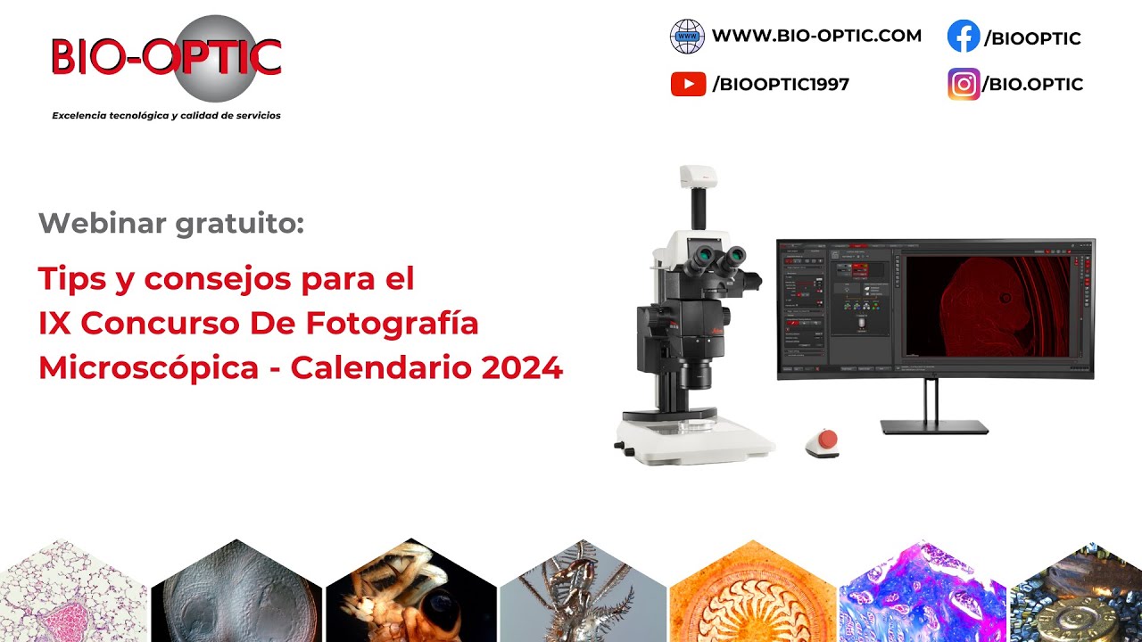 WEBINAR - Preparación para el IX Concurso de fotografía microscópica - Bio-Optic SRL