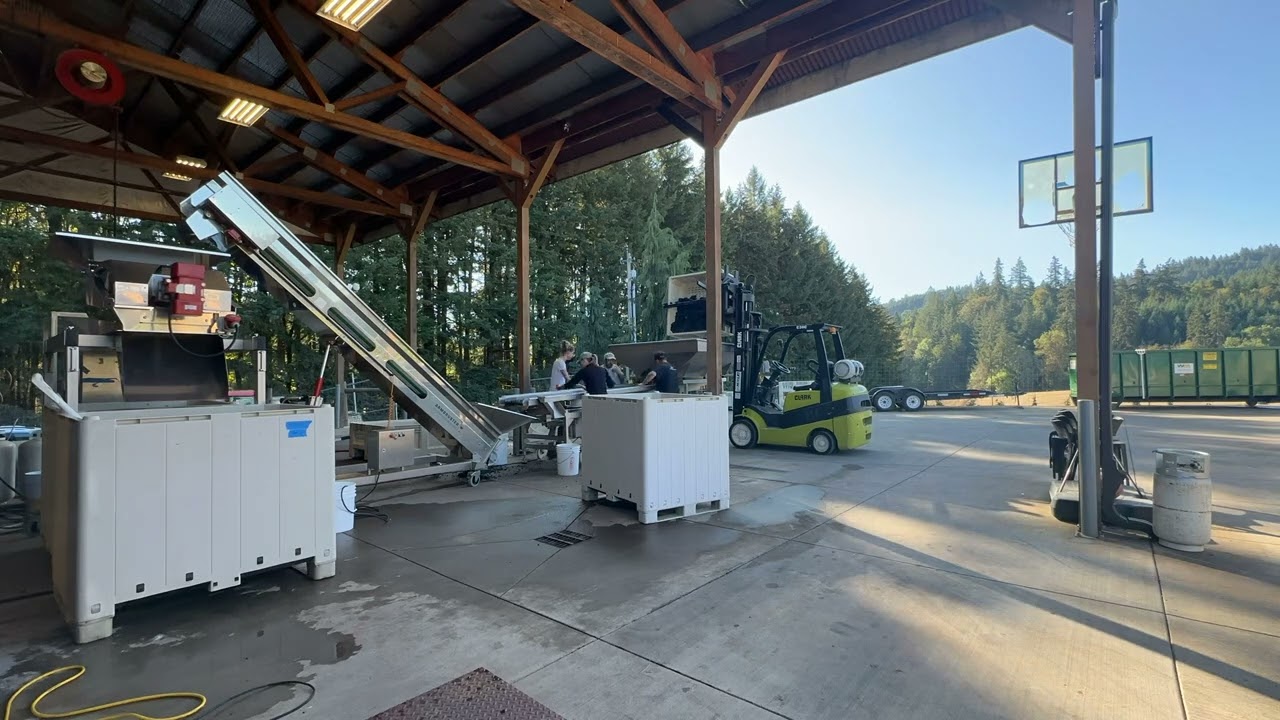 Wine Harvest 2024 - Timelapse
