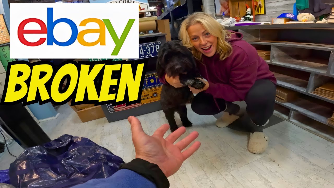 Ebay Reseller Down But Not Out