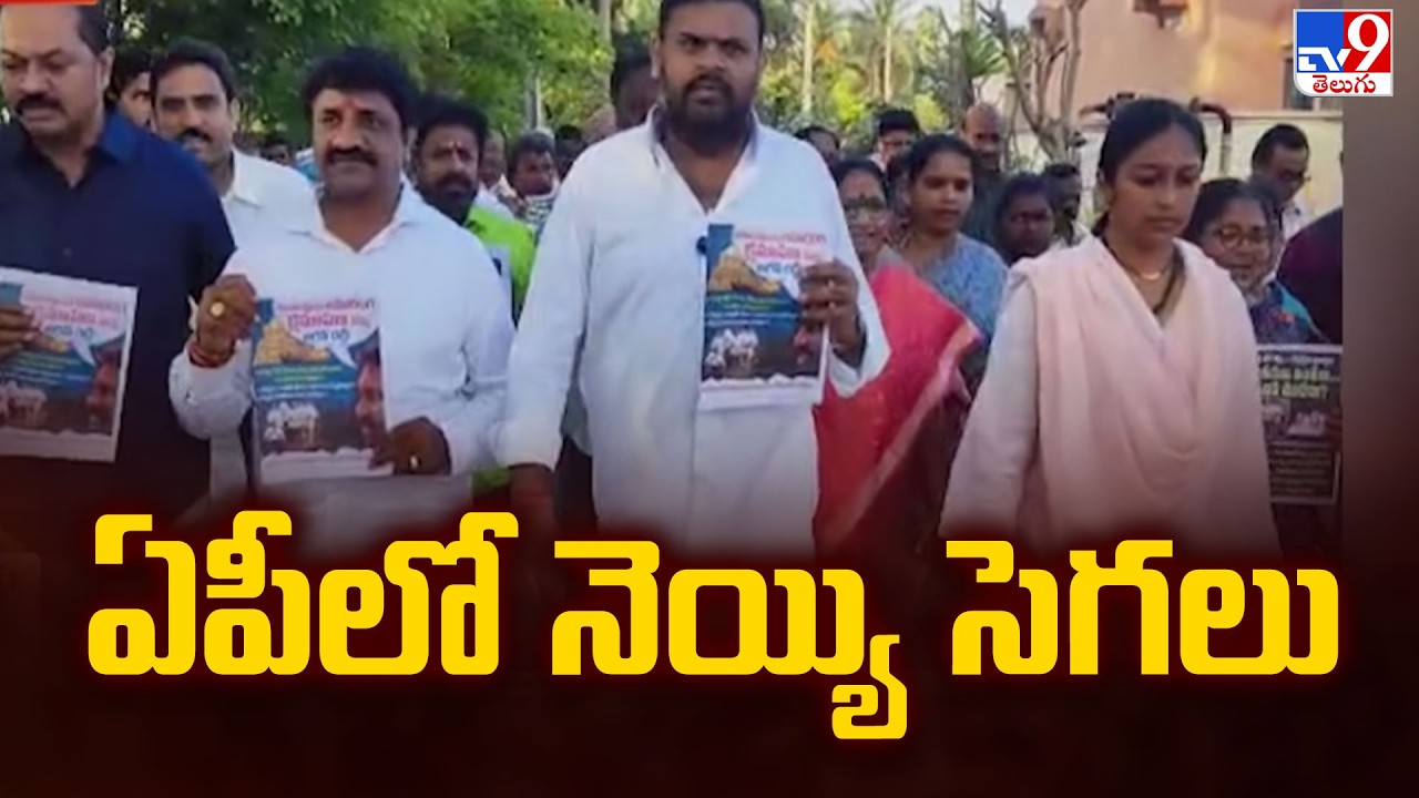 TDP Vs YCP : ఏపీలో నెయ్యి సెగలు - TV9