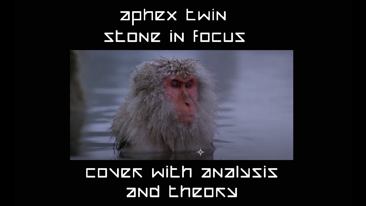 Aphex Twin — обложка Stone in Focus с анализом и теорией