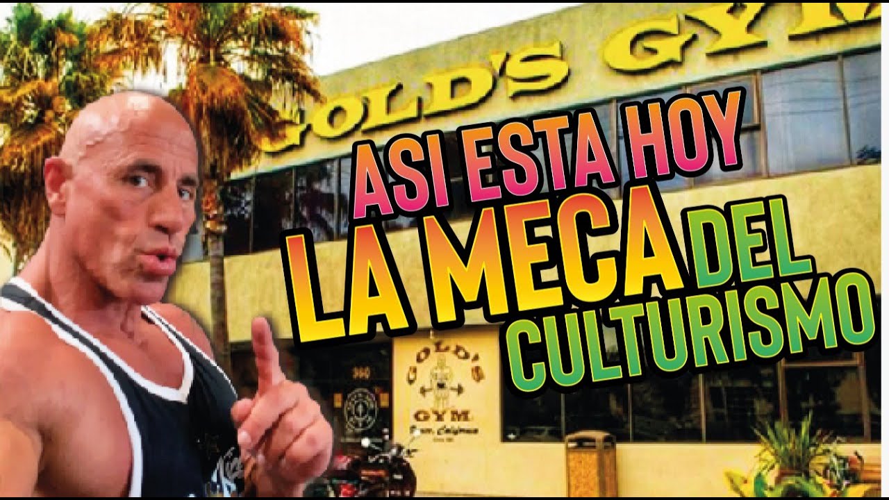 ⭕️ ASI ESTA HOY EL GOLD'S GYM ⭕️  