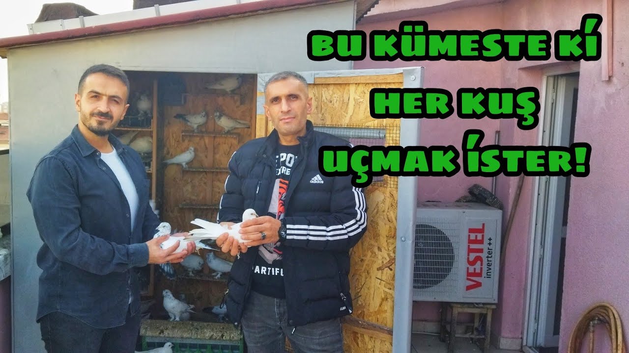 ''HER ZAMAN DEDİKLERİ GİBİ; KUŞ HAVADA GÜZELDİR'' MUSTAFA VARIŞ Üstadımıza Misafir Olduk!