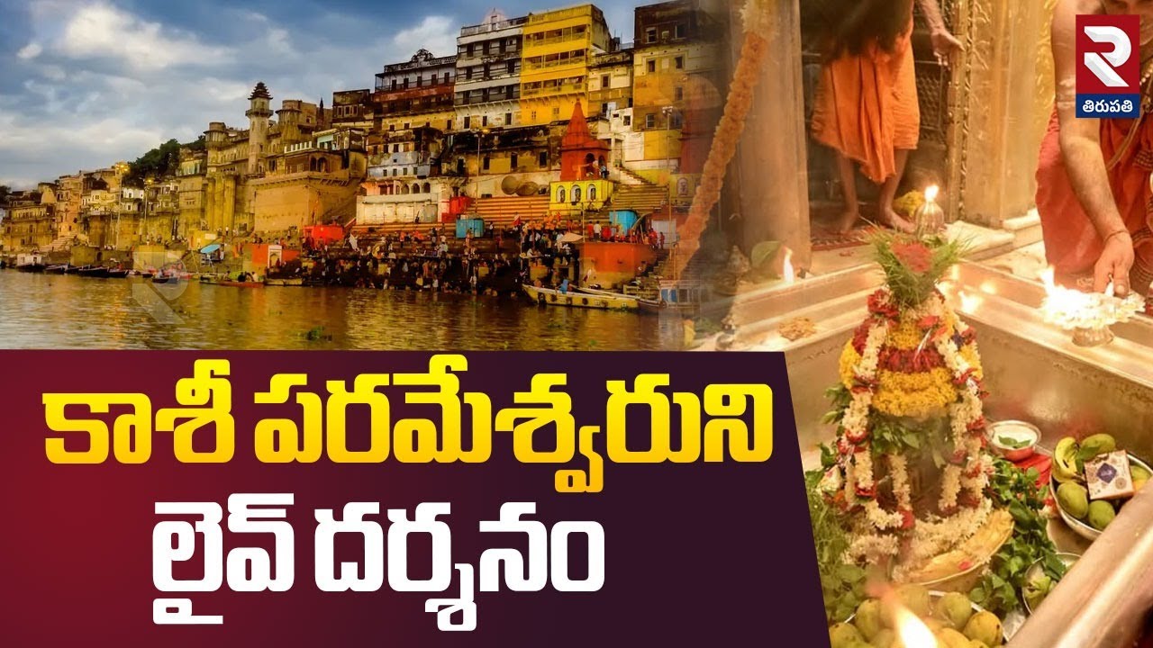 Kashi Vishwanath🔴Live : కాశీ పరమేశ్వరుని లైవ్ దర్శనం | Kashi Vishwanath Darshan | RTV Tirupathi