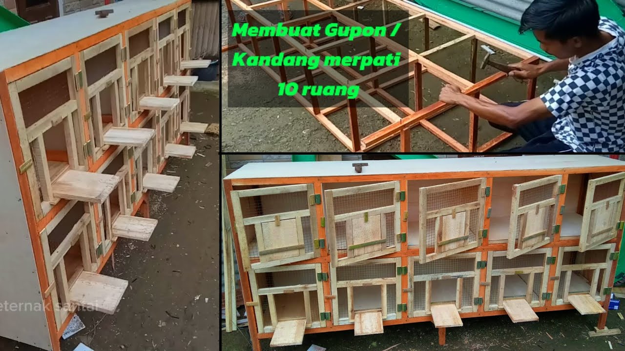 Membuat kandang merpati, Gupon merpati 10 ruang