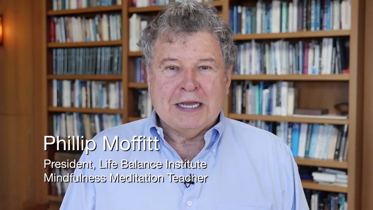 What is Mindfulness? - Phillip Moffitt