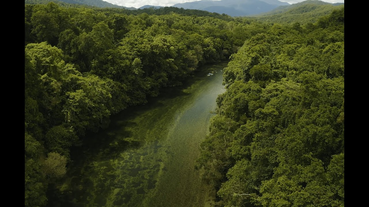 Kayaking the pristine Mulgrave river, Cairns North Queensland
