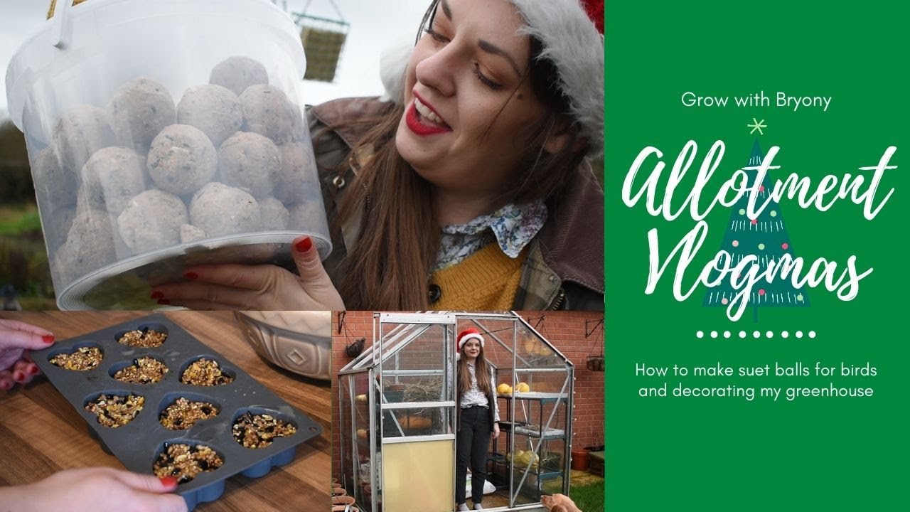 Making suet balls for birds / Allotment Vlogmas 2020