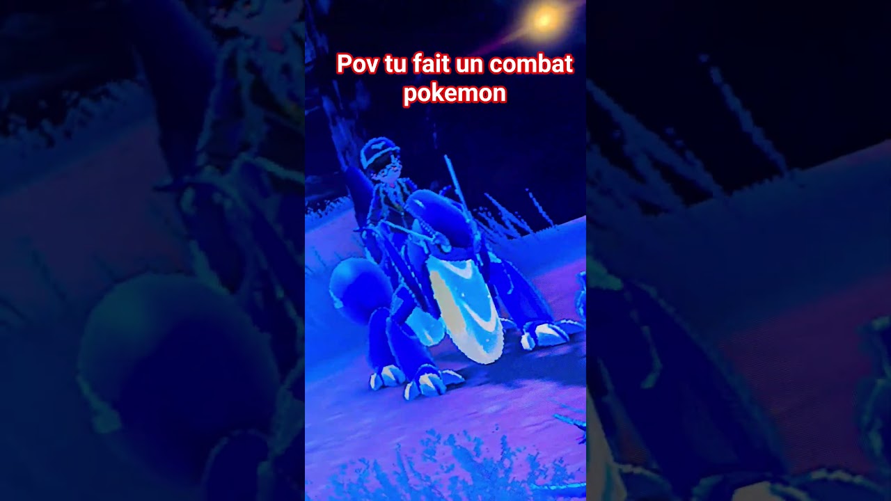 pov tu fait un combat pokemon 