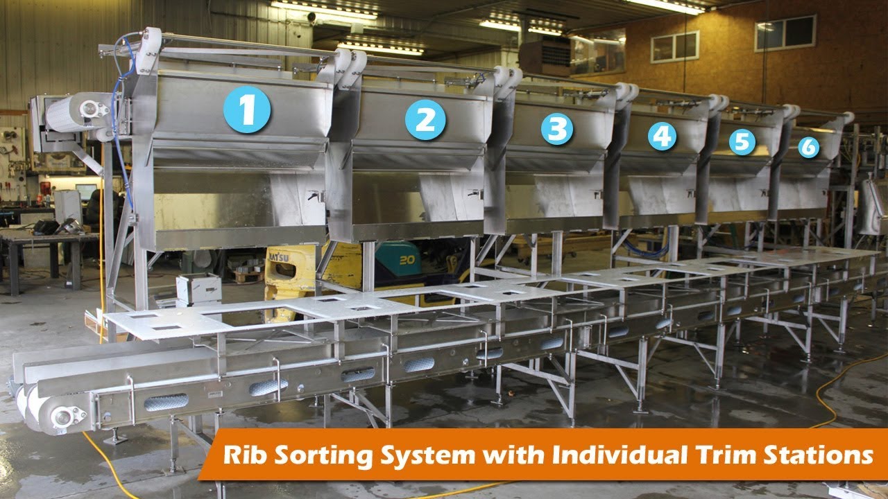 Rib Sorting System with Individual Trim Stations