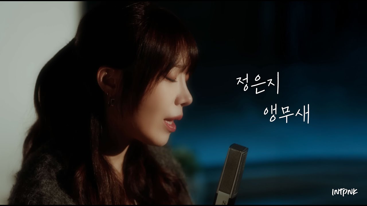 정은지 鄭恩地 – 앵무새 Parrot｜韓中歌詞｜OST 20주년 리메이크  #정은지 #에이핑크 