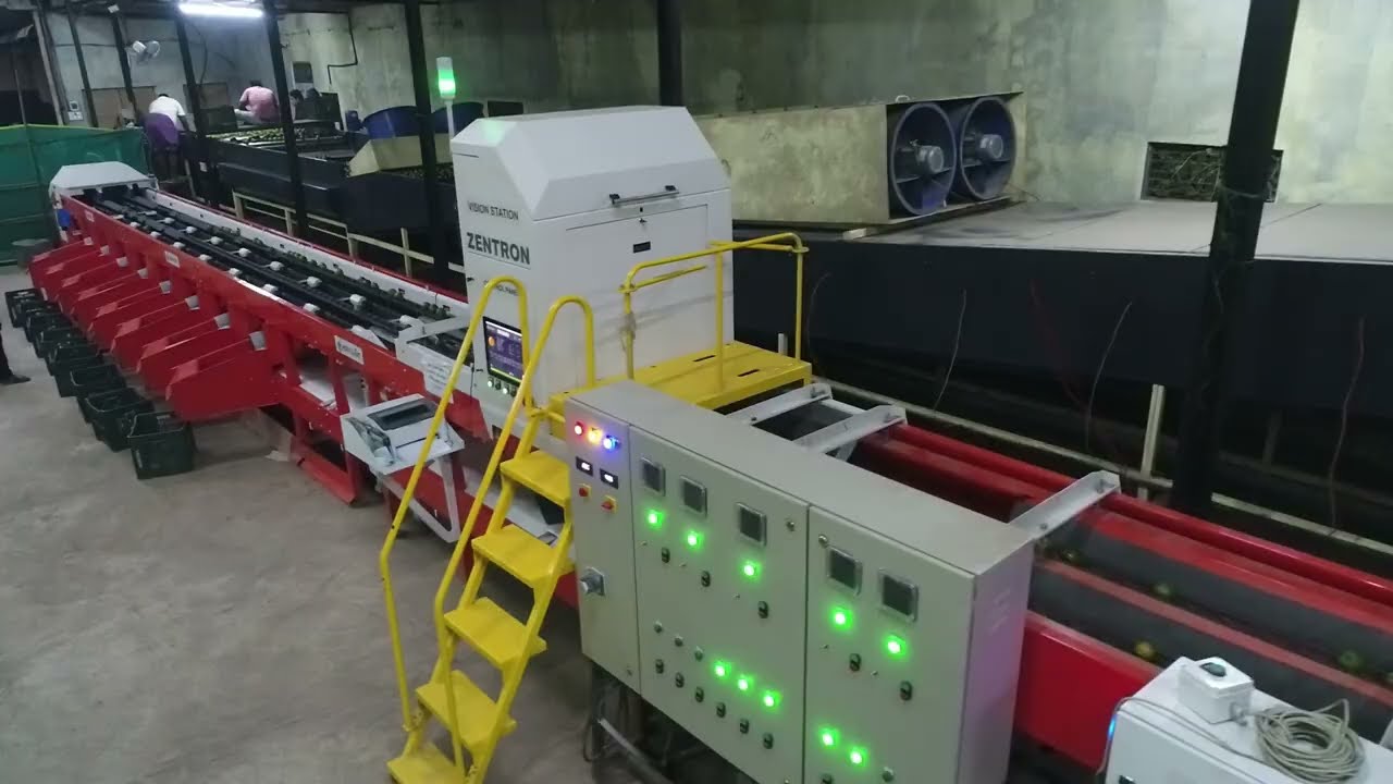 Hortisort- Orange Grading - Nagpur Oranges. Optical sensor based grading/Electronic Grading lines