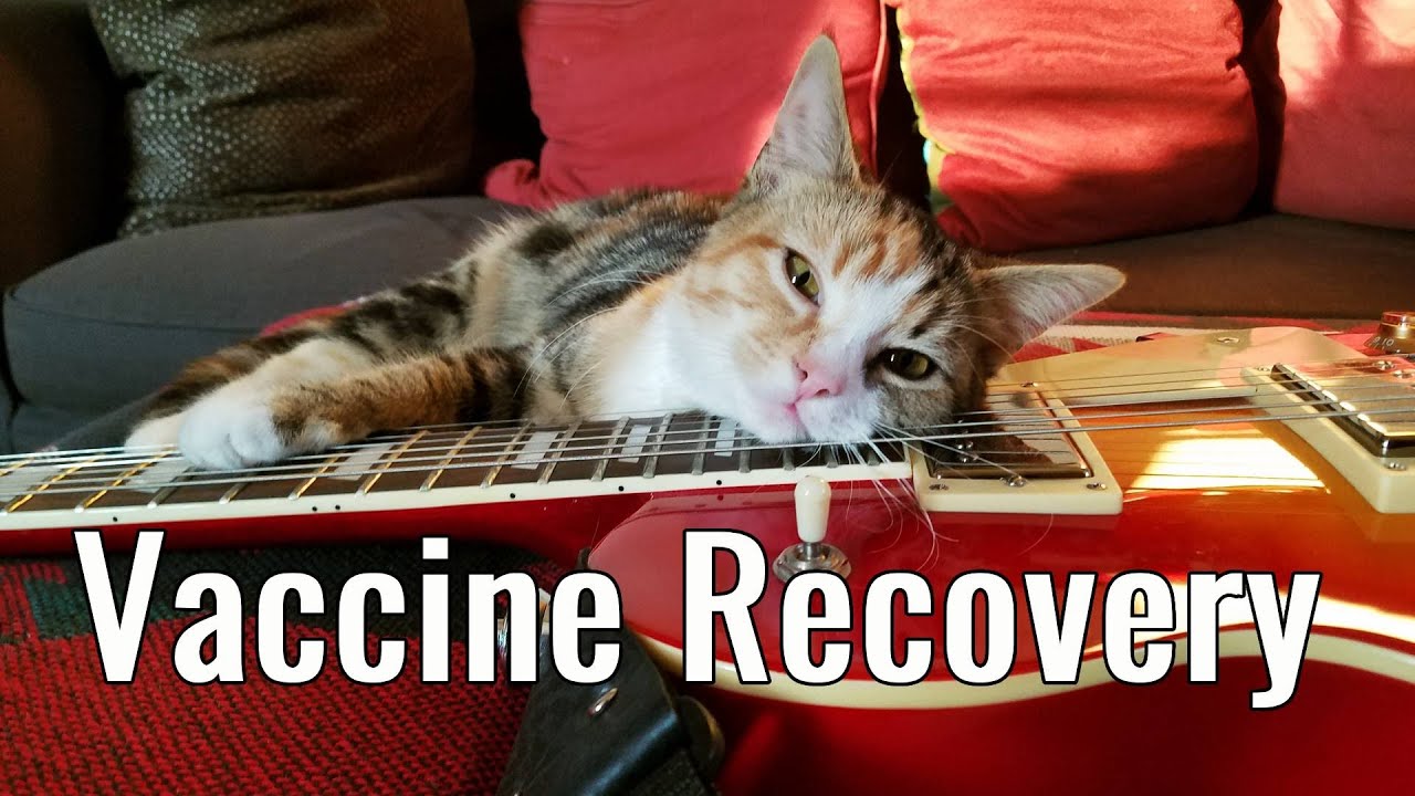 Do Indoor-Only Cats Really Need Vaccines?