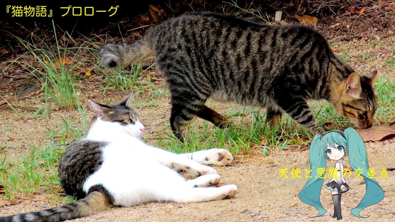 『猫物語』プロローグ