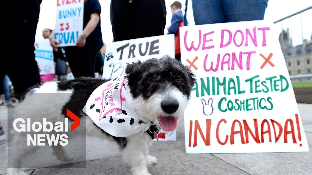 Canada bans cosmetic testing on animals