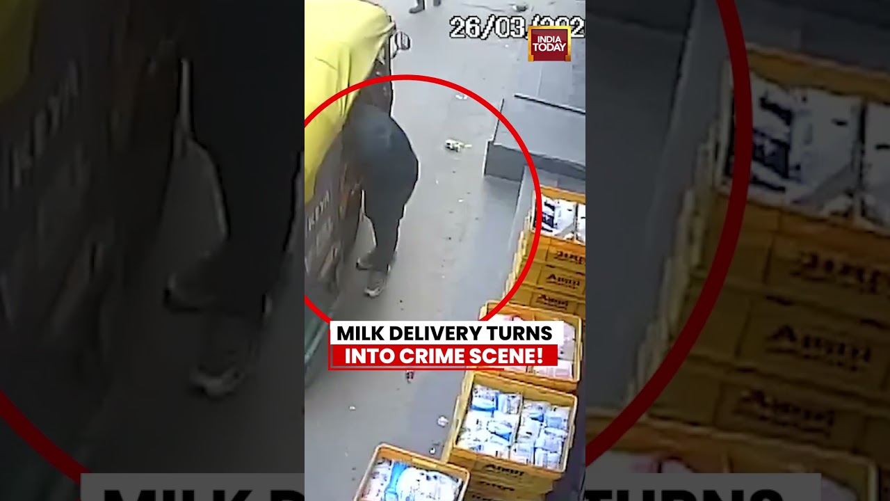 VIRAL VIDEO | Milk Delivery Turns Crime Scene, Theft Gang Busted in Delhi #delhi #viralvideo