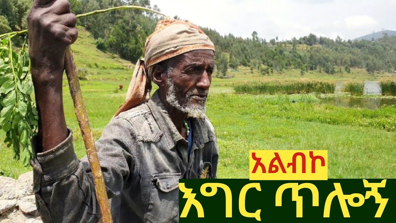 ✅ እግር ጥሎኝ ከአንድ አባት ጋር በመይባር ሀይቅ ዳርቻ  ያሳለፍኩት ጊዜ   #tossatube   #wollo  #trip