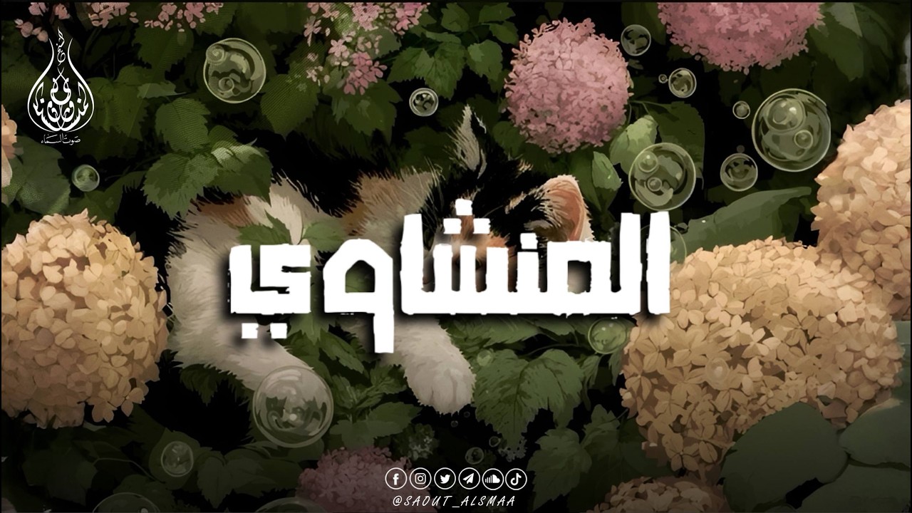 تلاوة تشرح الصدر وتُبكي العين | المنشاوي🎧
