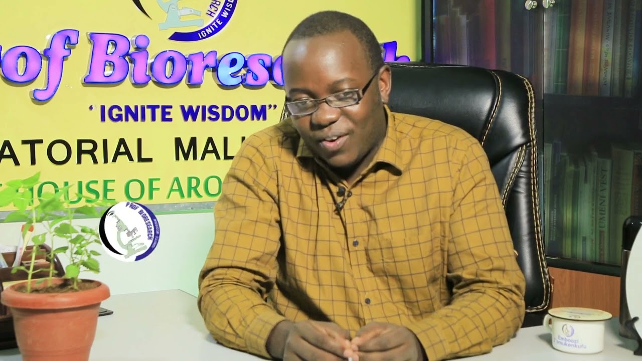 STINGING NETTLE HEALTH BENEFITS WITH OMUKENKUFU NYANZI JULIUS Part 1